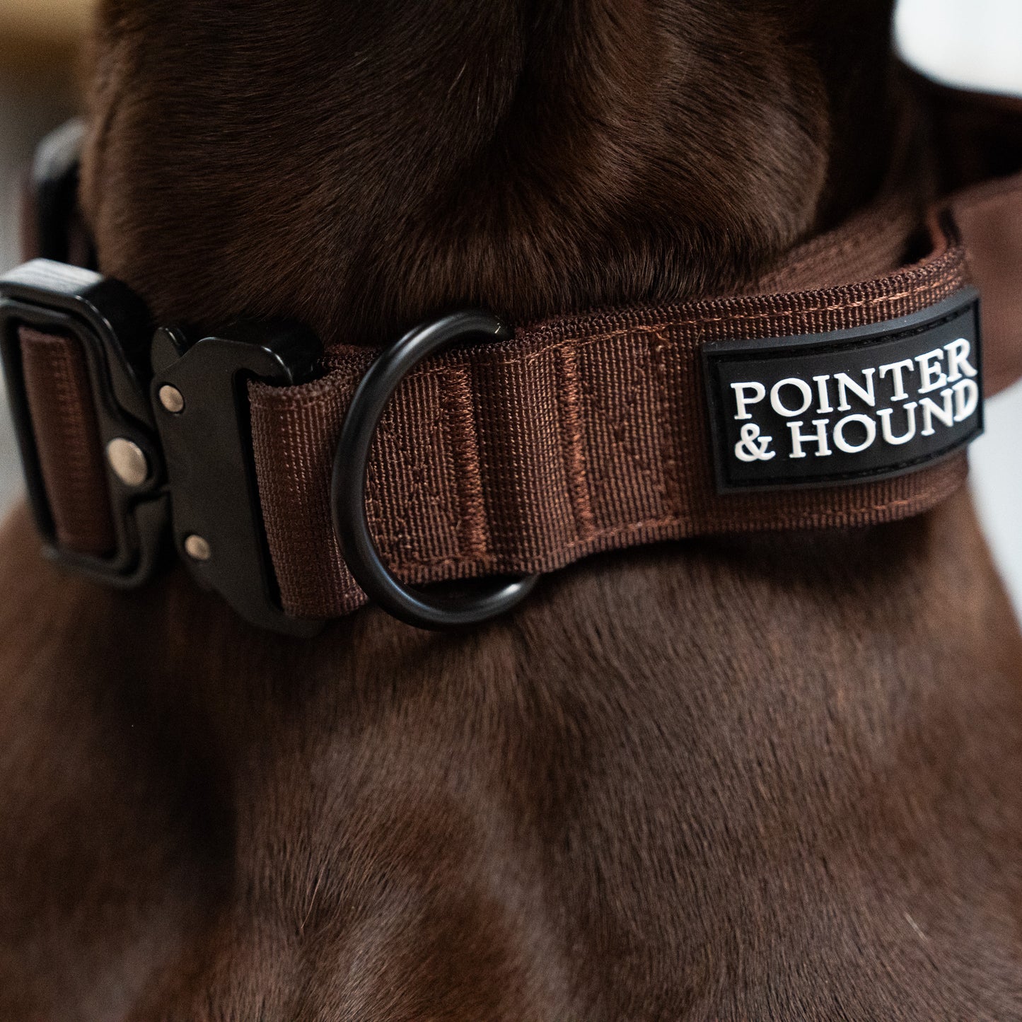 Tactical Collar - Maroon Brown