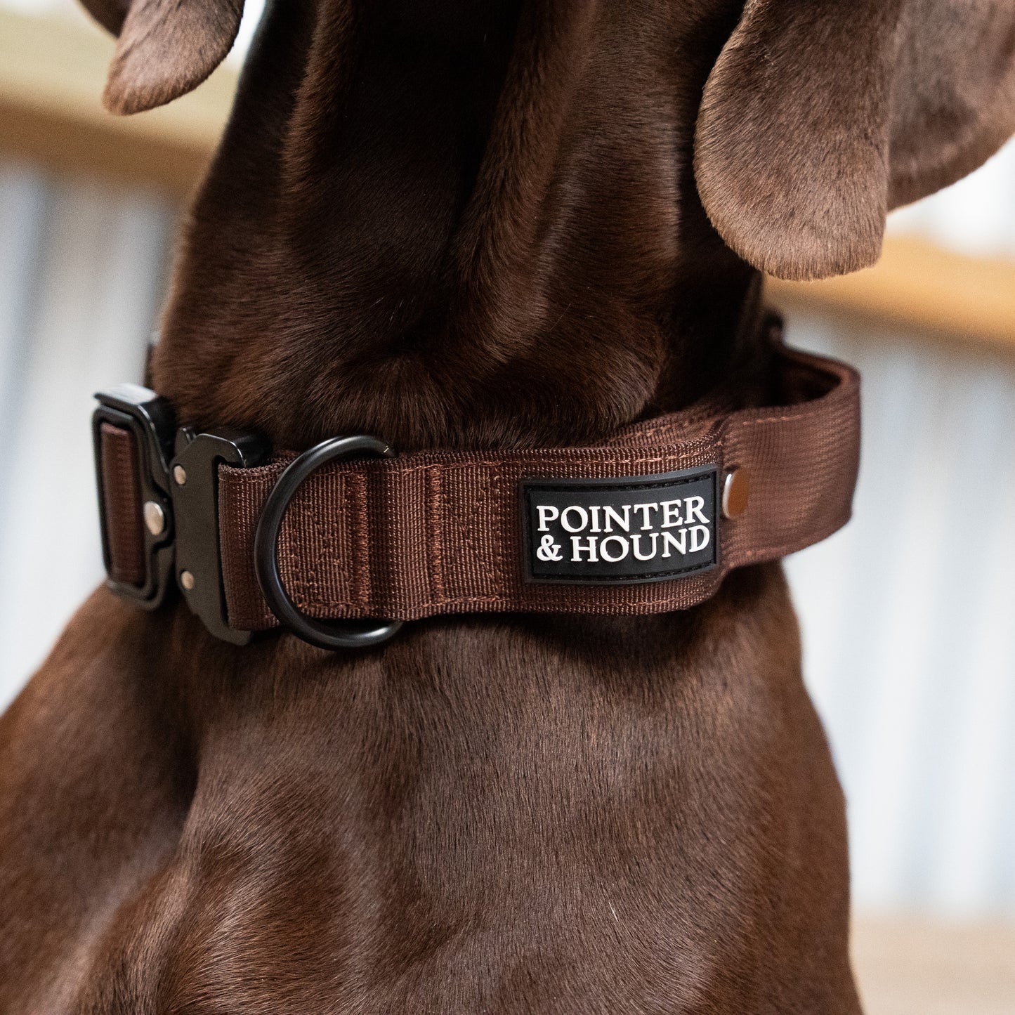 Tactical Collar - Maroon Brown