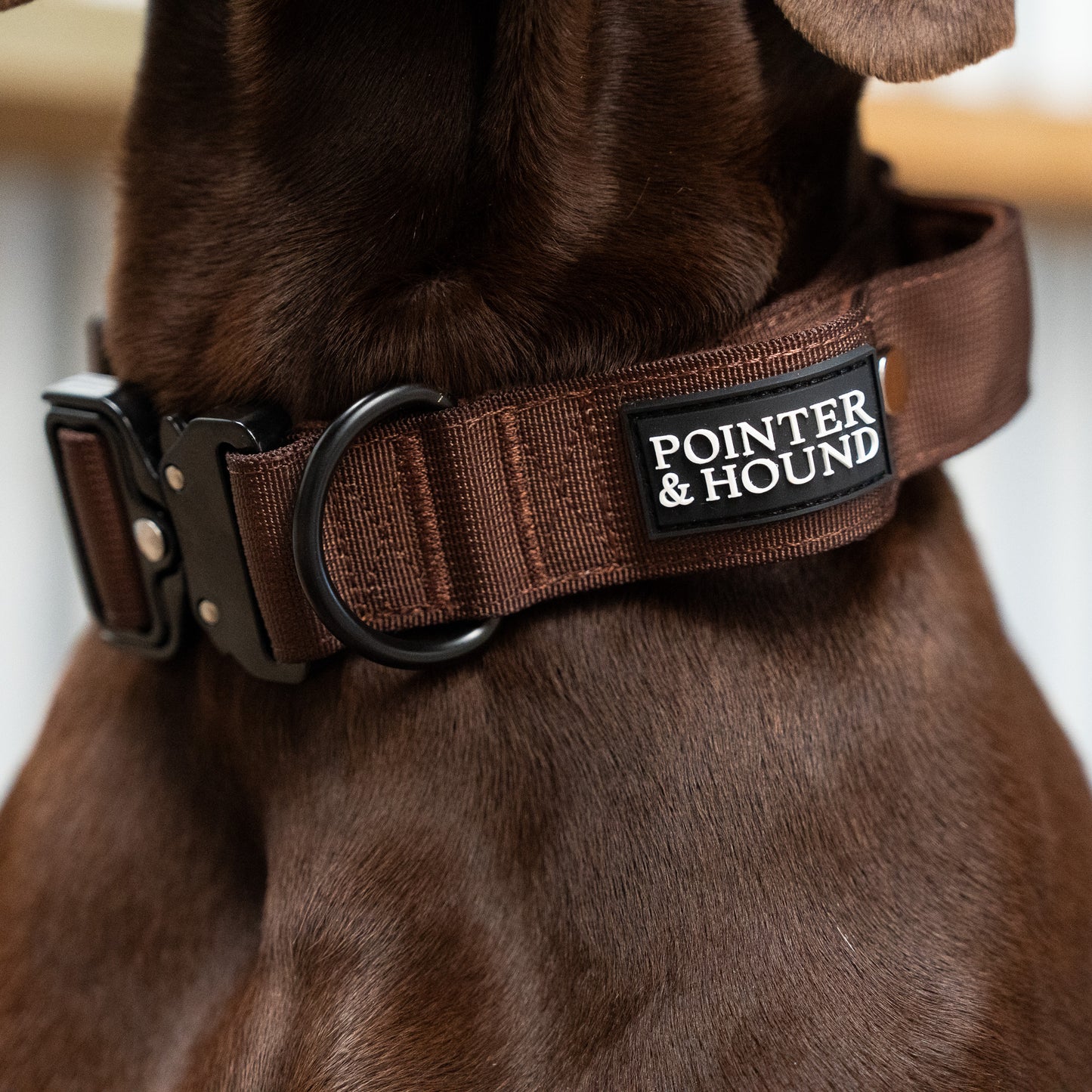 Tactical Collar - Maroon Brown