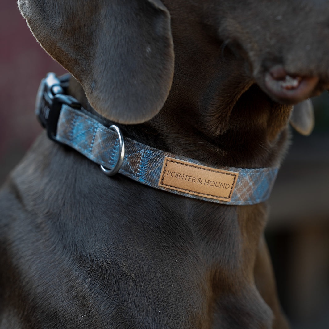 Collars – Pointer & Hound