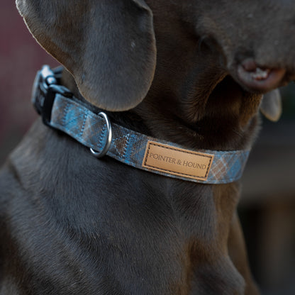 Double Signature Collar & Leash