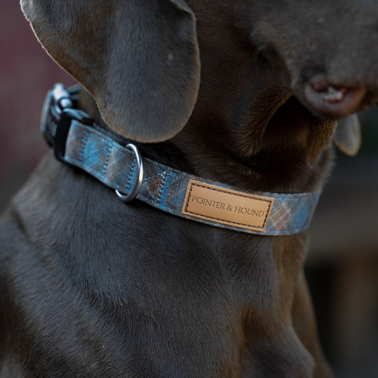 Blue Tartan Collar