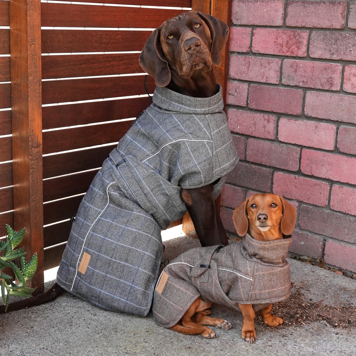 Wool-Blend Coat