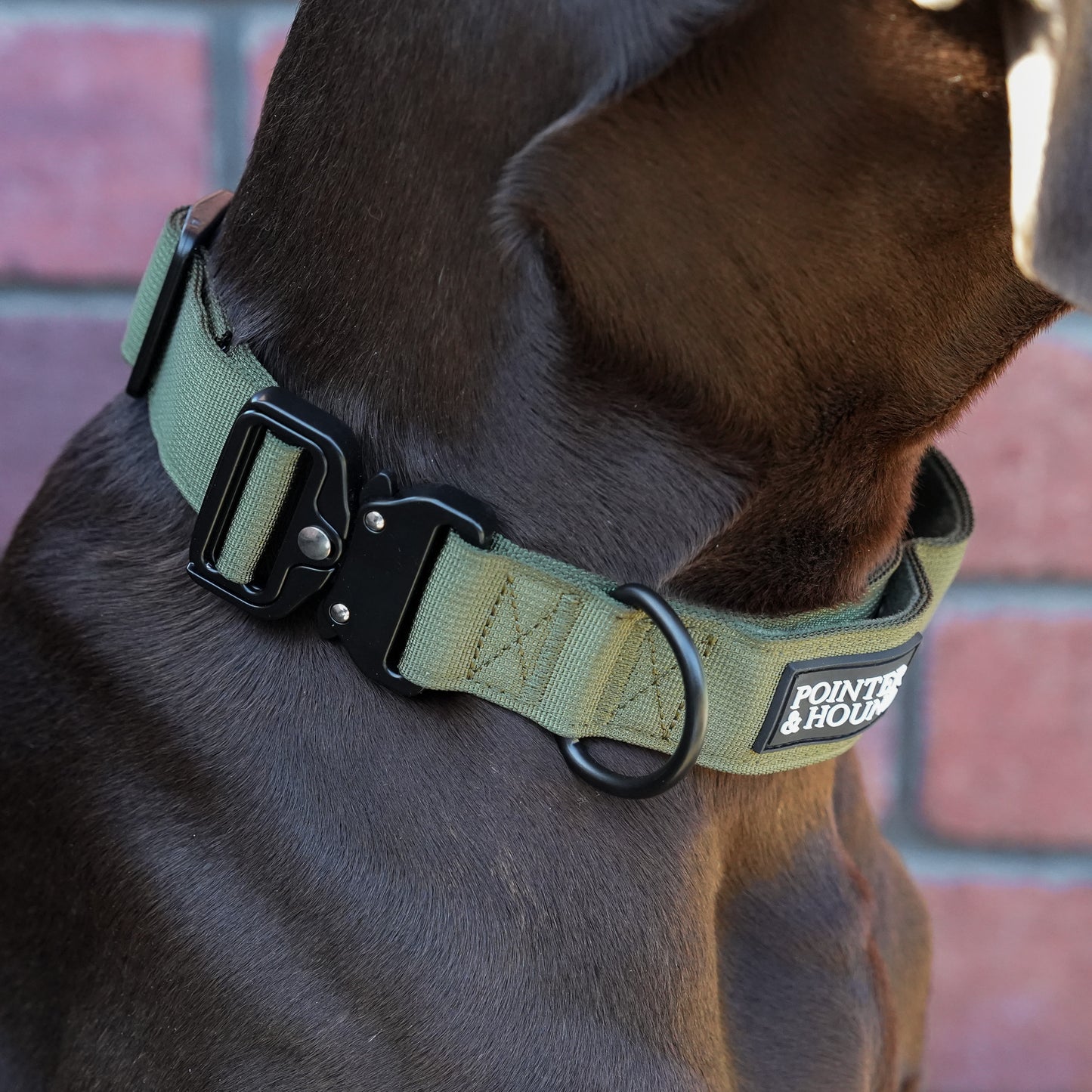 Tactical Collar - Army Green