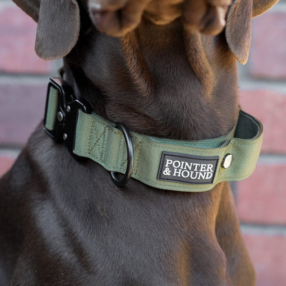 Double Tactical Collar & Leash