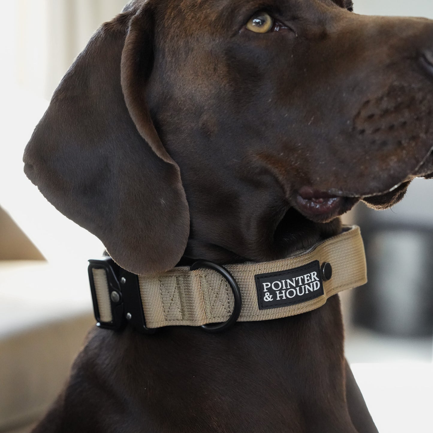 Tactical Collar + Leash Combo - Tan