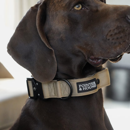 Double Tactical Collar & Leash