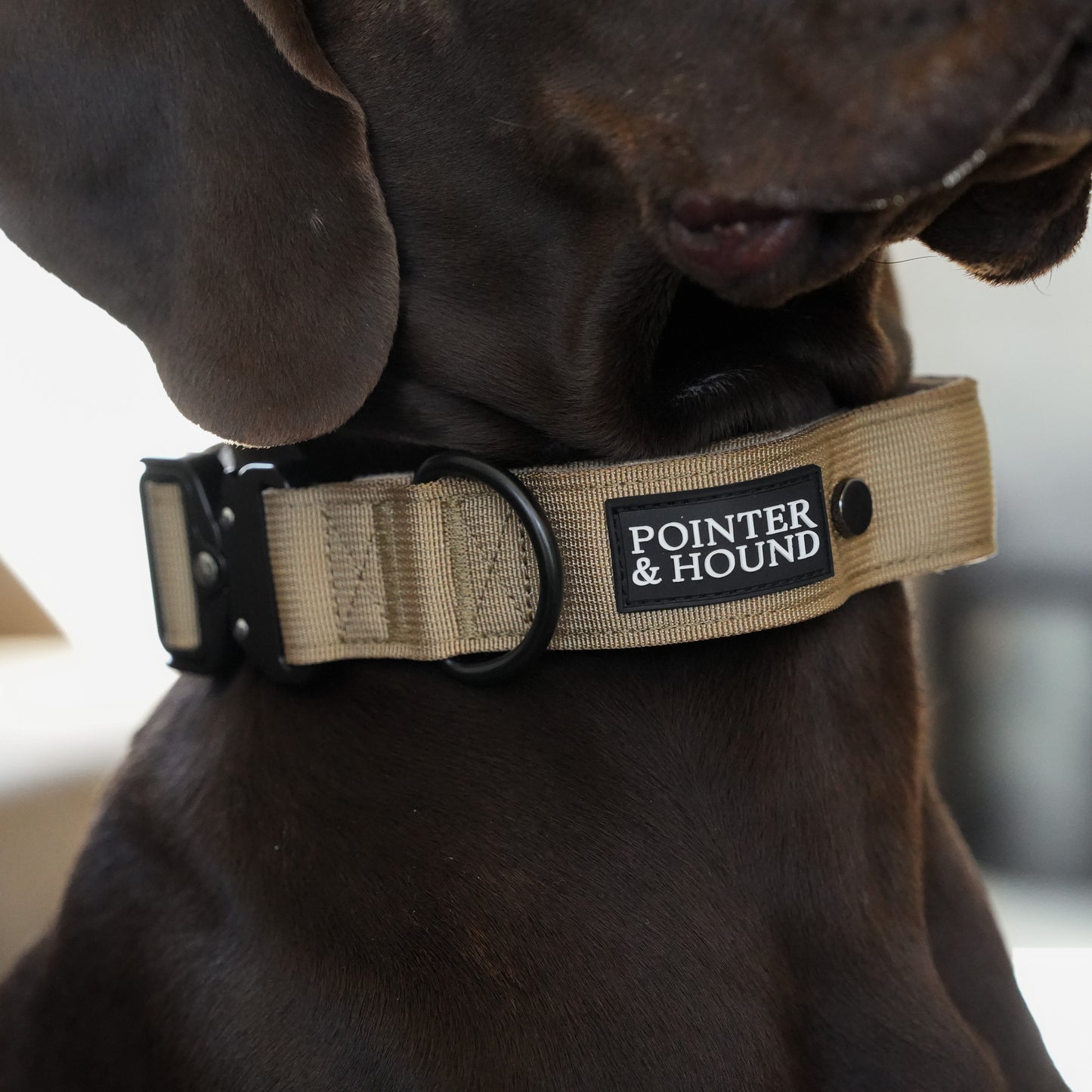 Tactical Collar - Tan