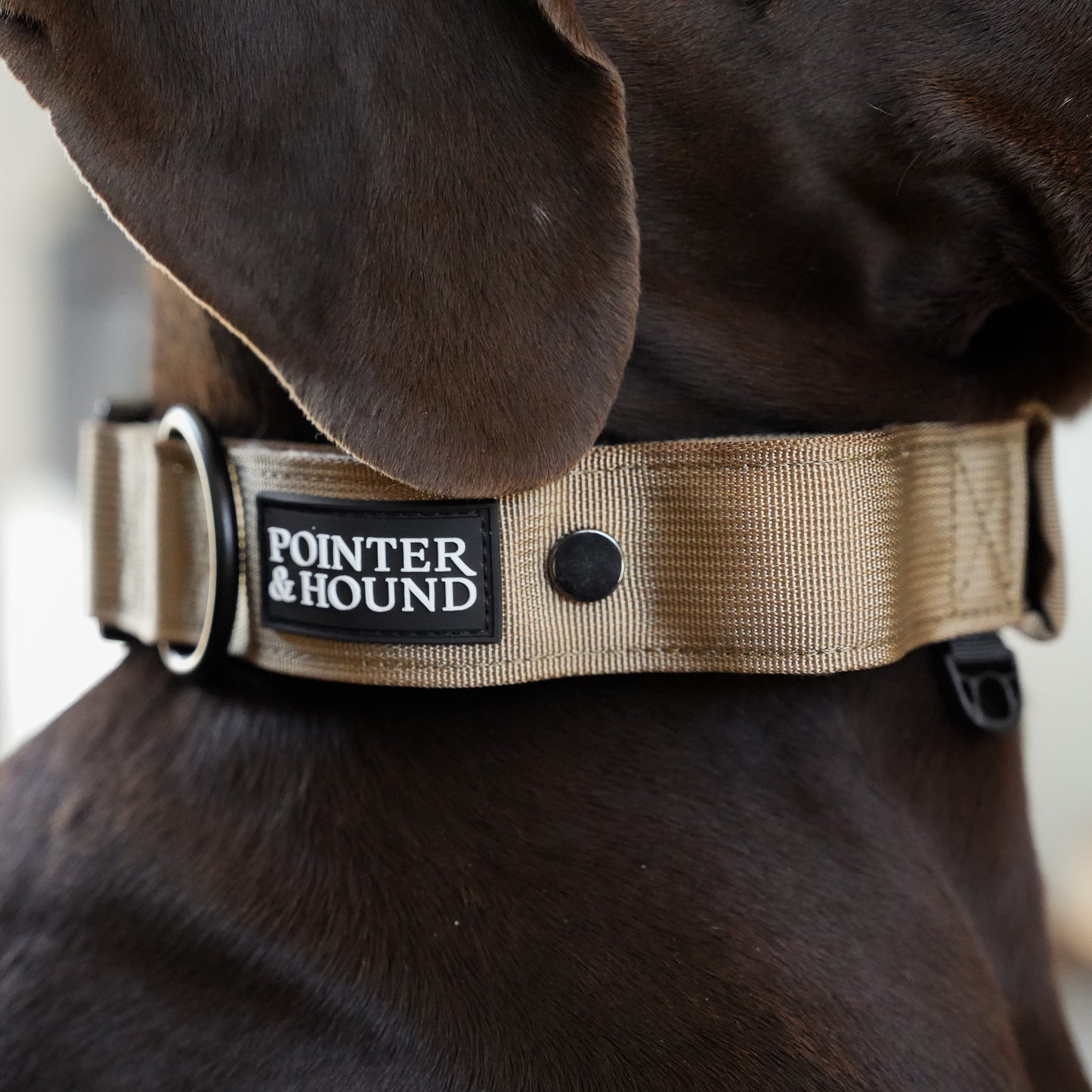 Tactical Collar + Leash Combo - Tan