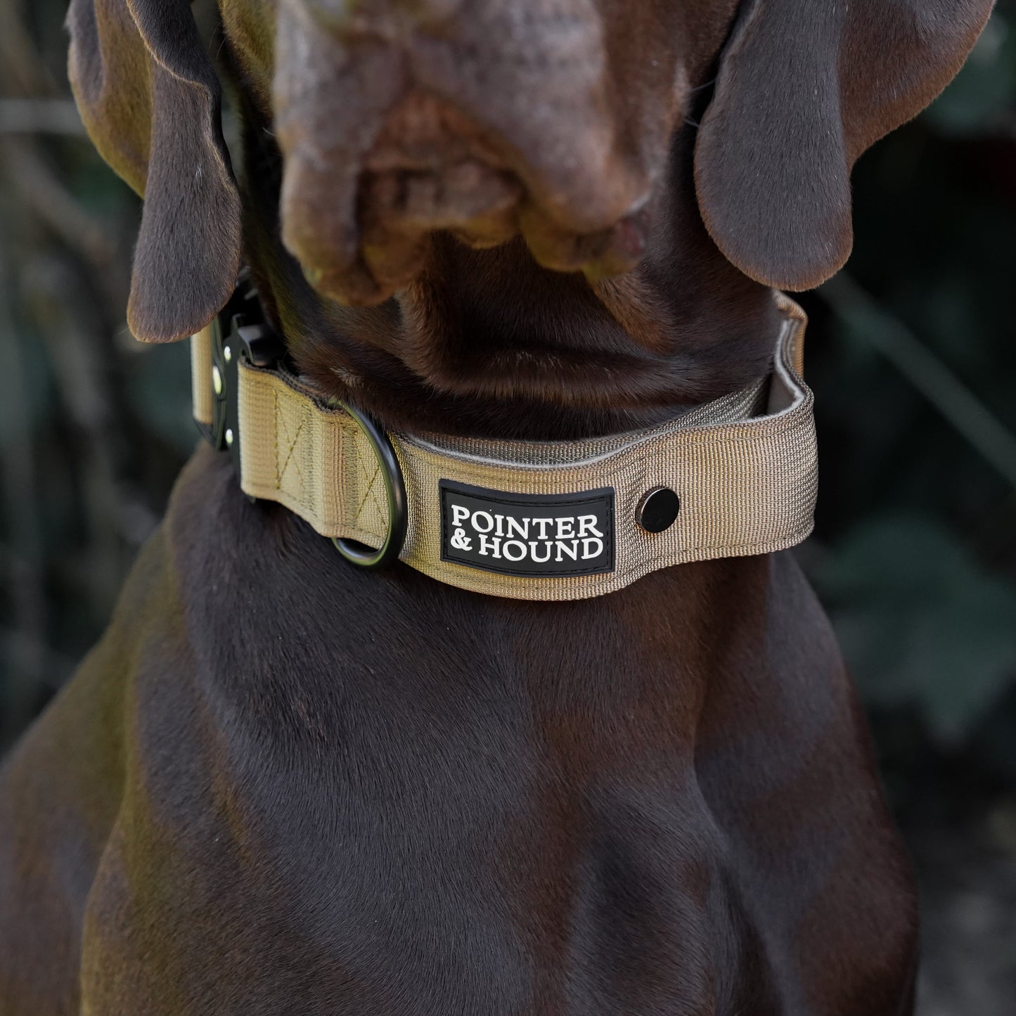 Tactical Collar + Leash Combo - Tan