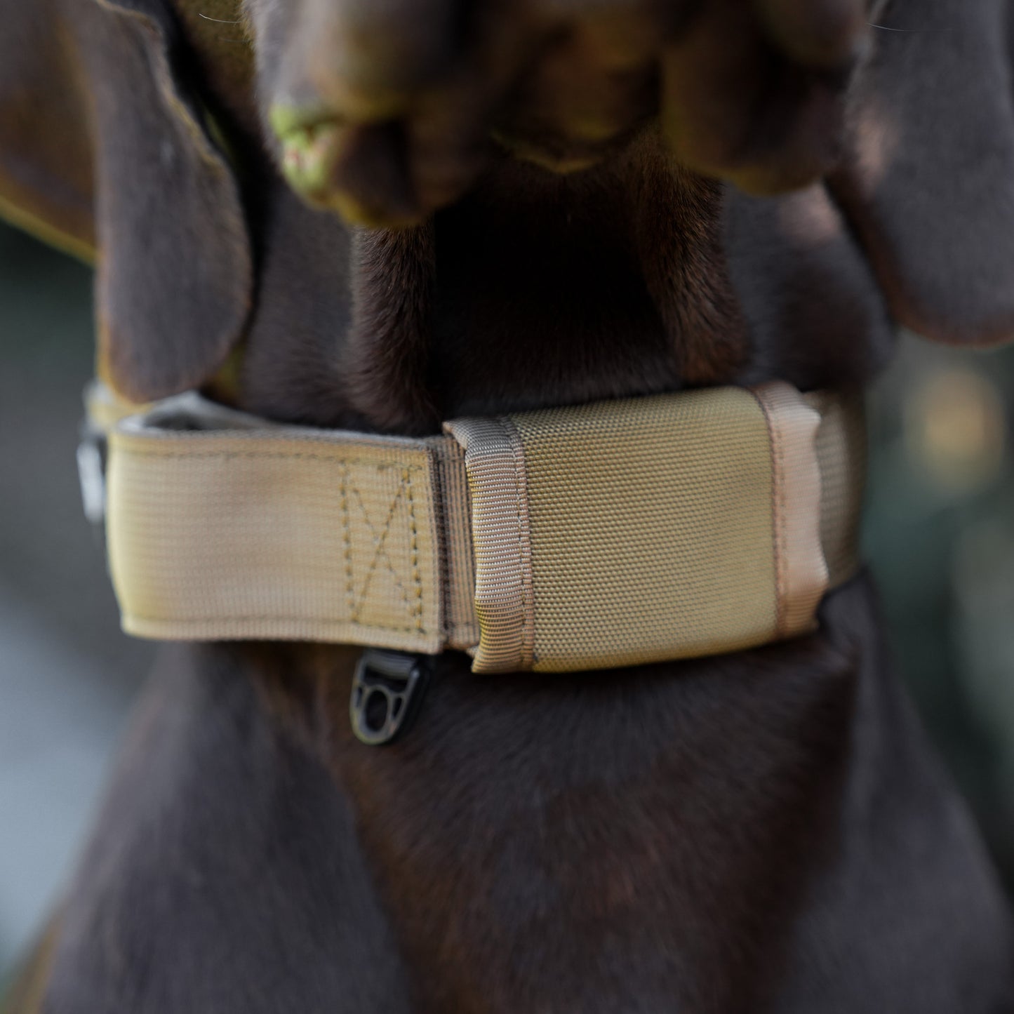 Tactical Collar + Leash Combo - Tan