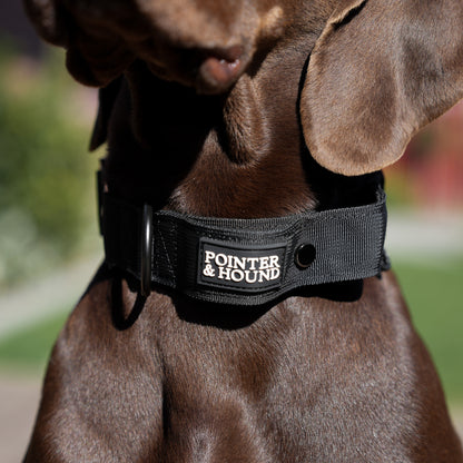 Double Tactical Collar & Leash