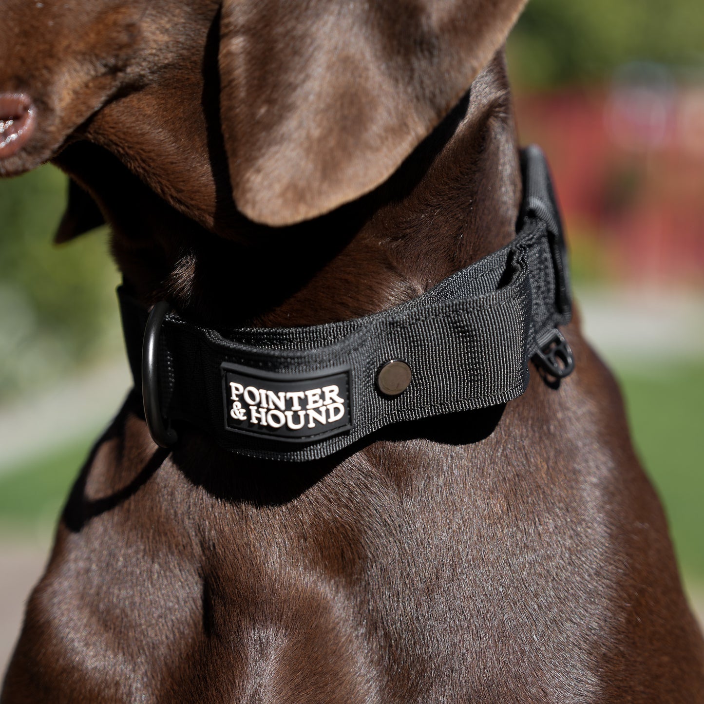 Tactical Collar - Black