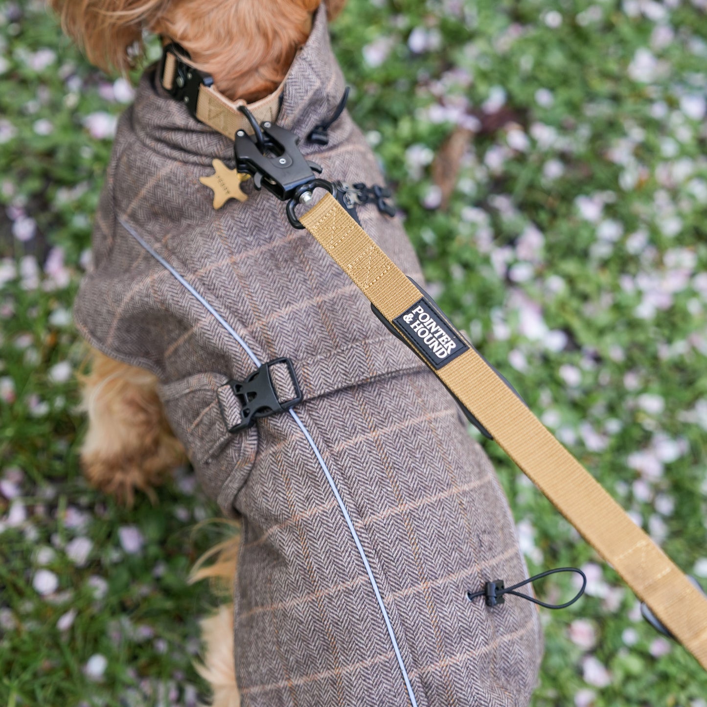 Tactical Leash - Tan