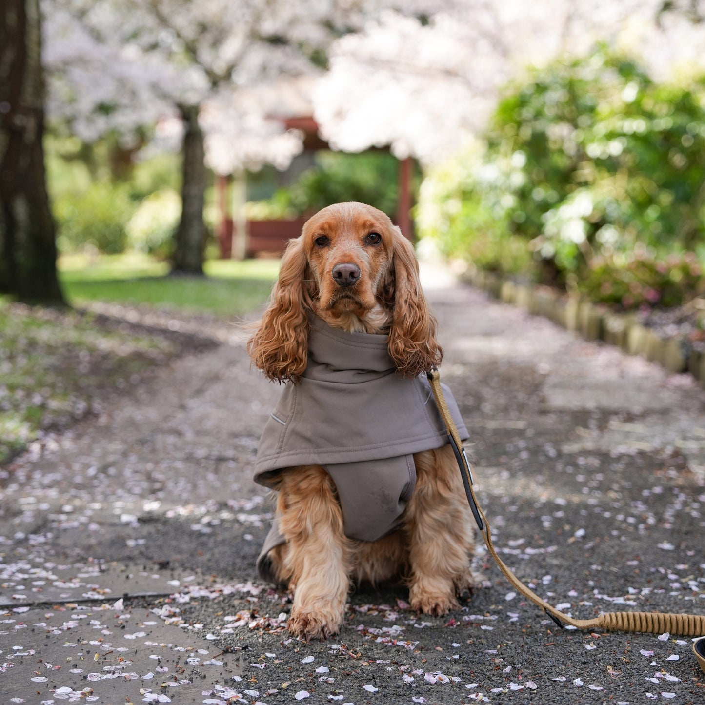 Waterproof Jacket - Mushroom