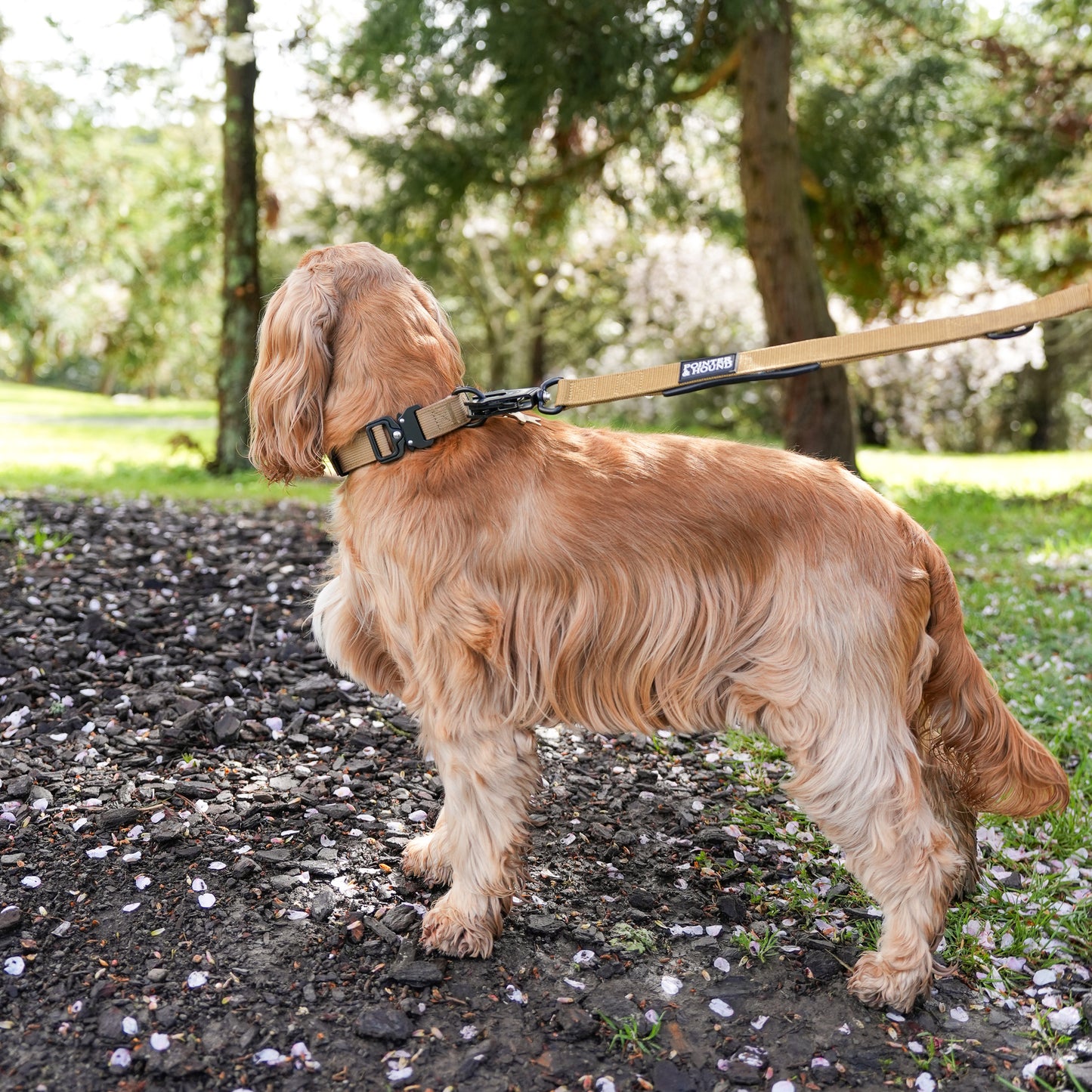 Tactical Collar + Leash Combo - Tan