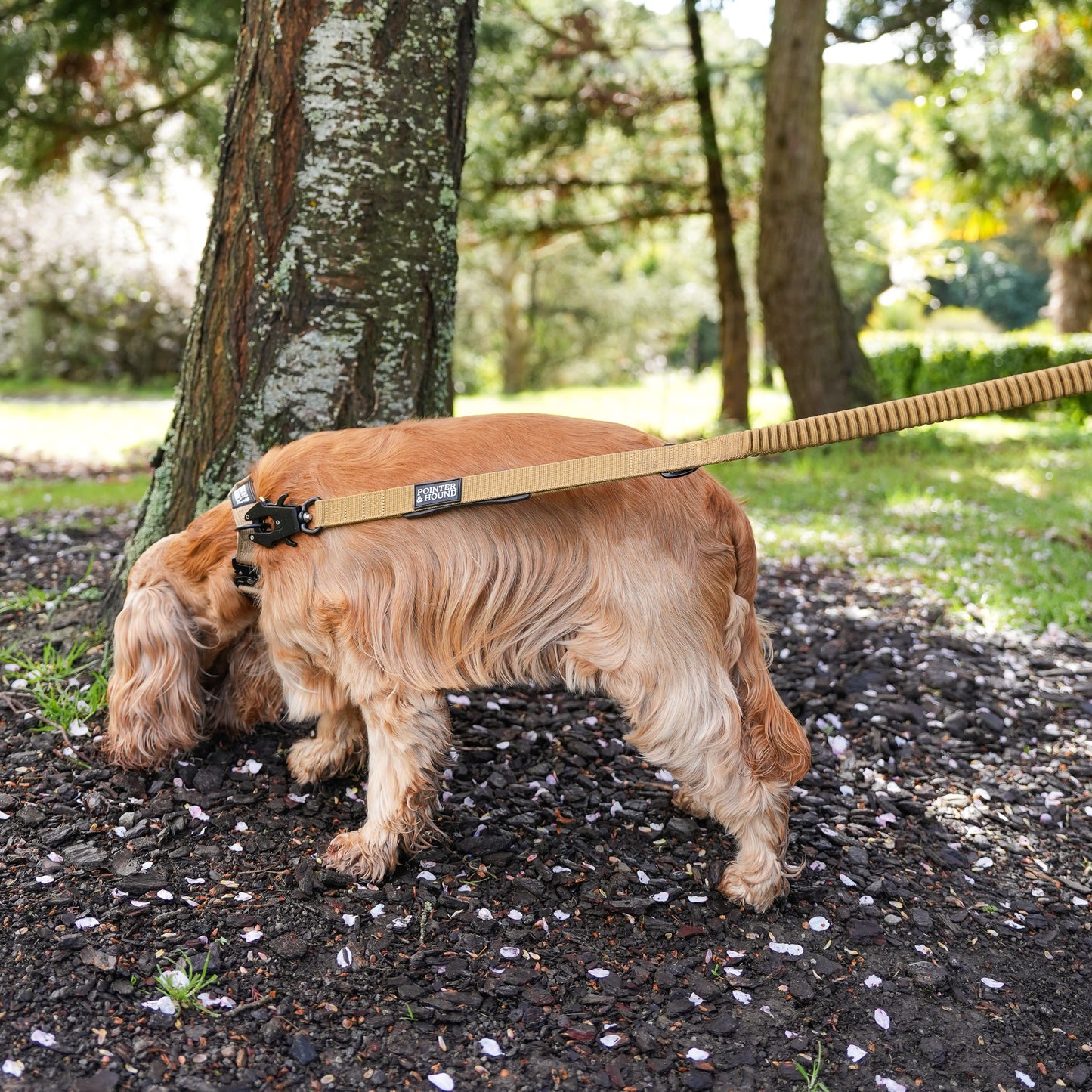 Tactical Collar + Leash Combo - Tan
