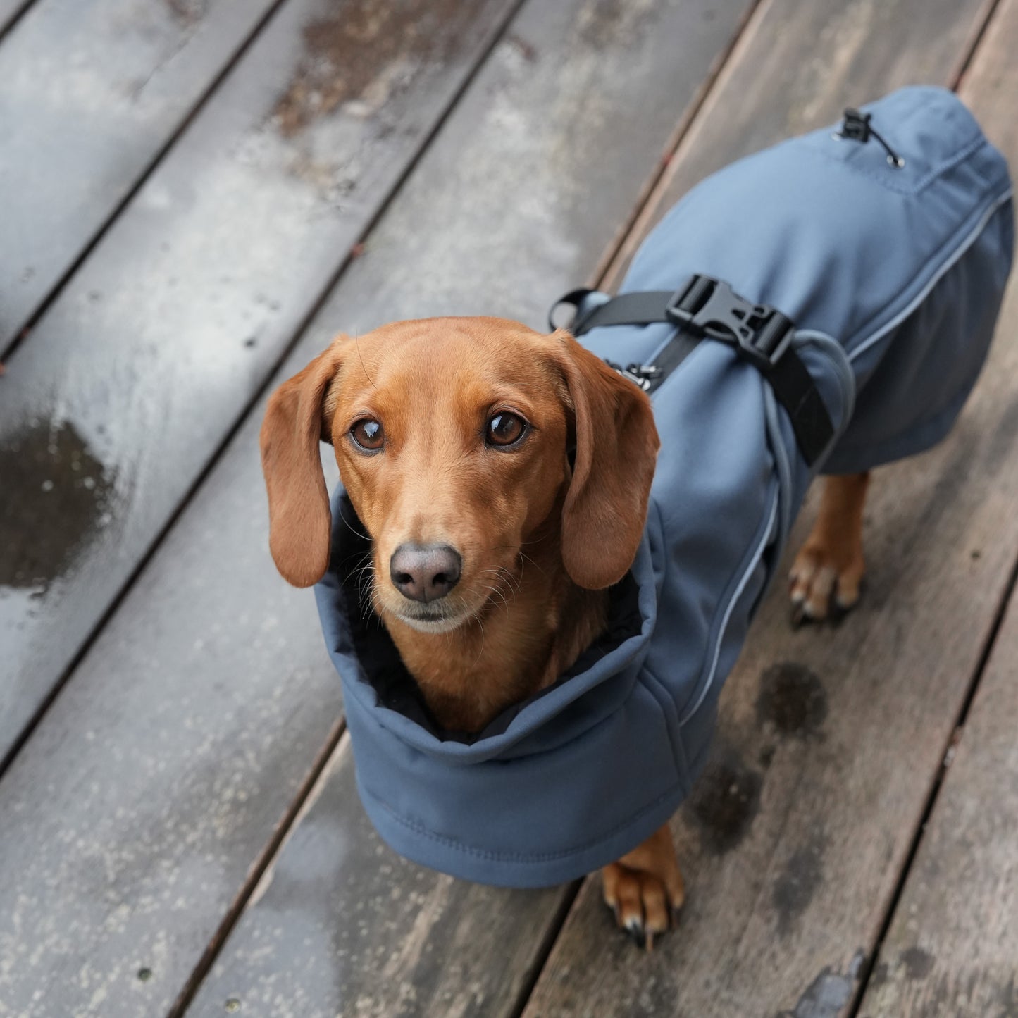 Waterproof Jacket - Slate Blue