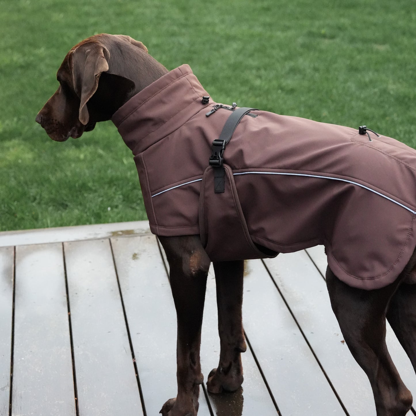 Waterproof Jacket - Maroon