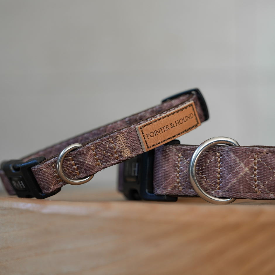 Collars – Pointer & Hound