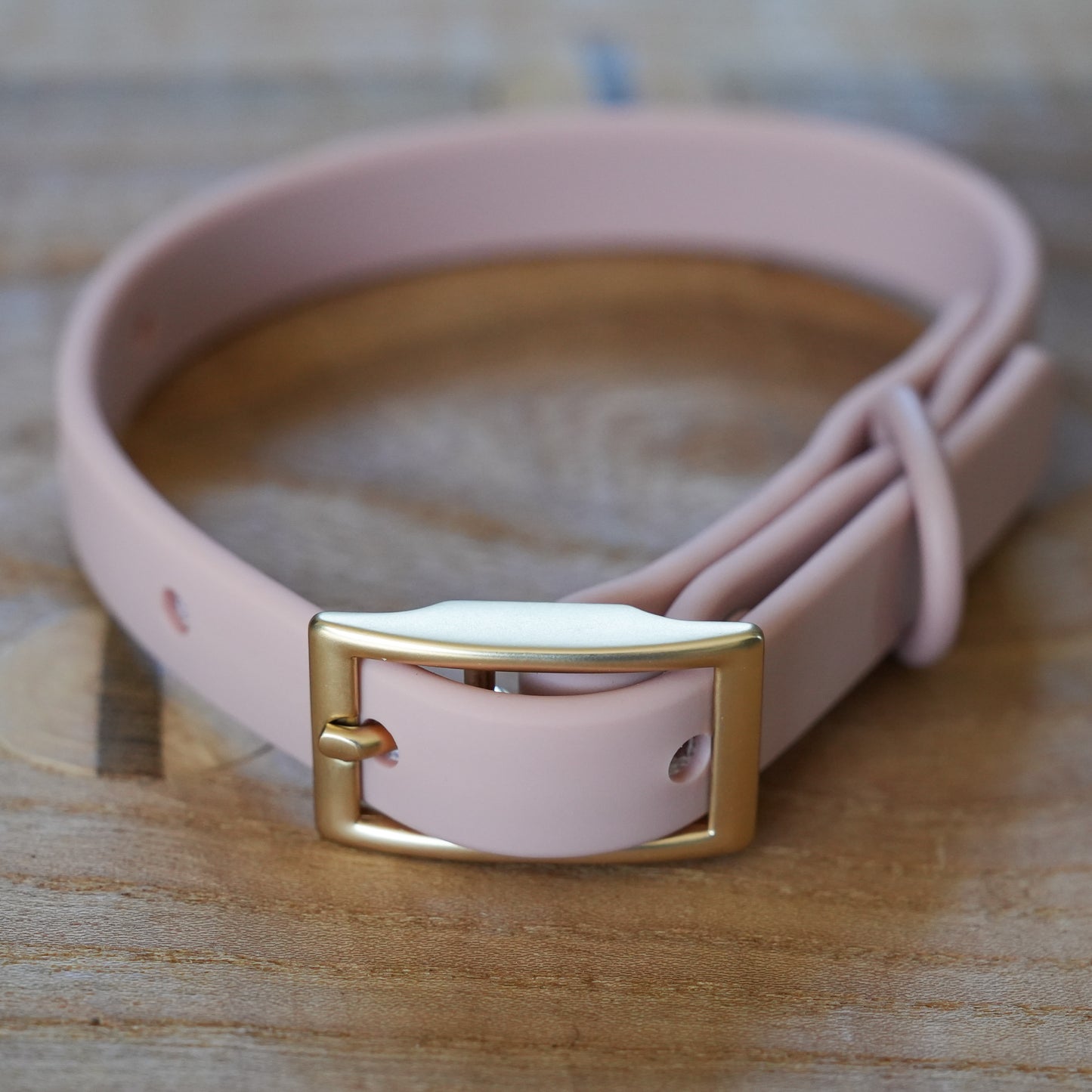 PVC Collar - Blush Pink