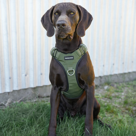 Tactical Harness - Army Green