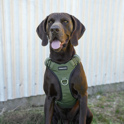 Double Tactical Harness & Leash