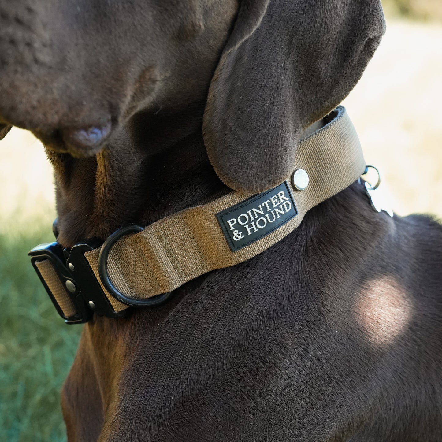 Tactical Collar - Tan