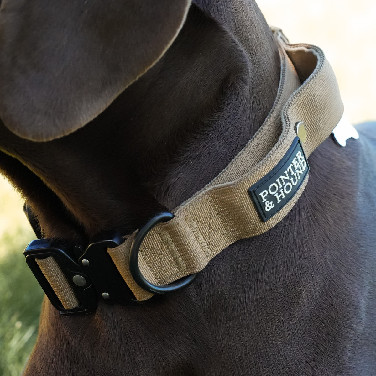 Tactical Collar - Tan – Pointer & Hound