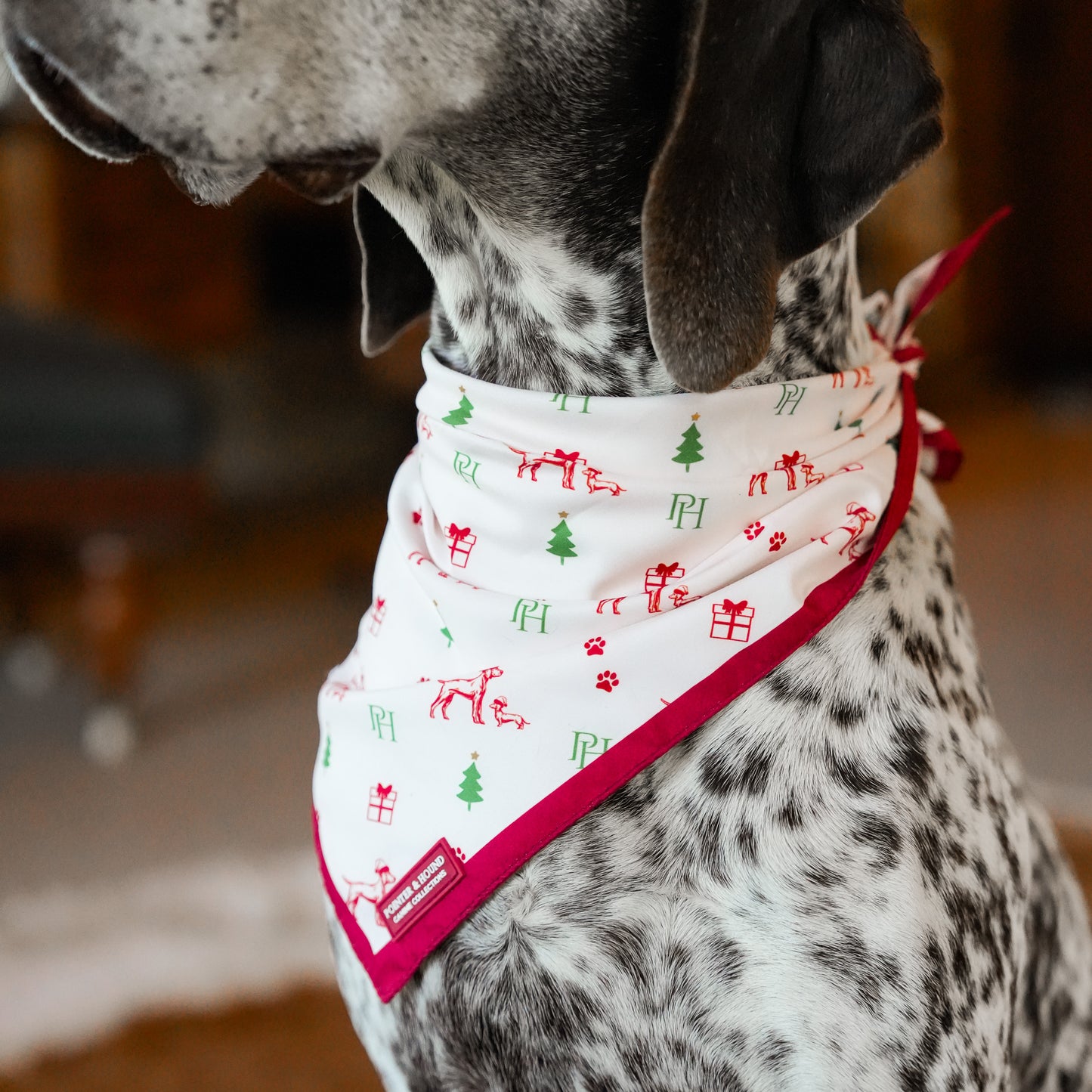 Christmas Bandana