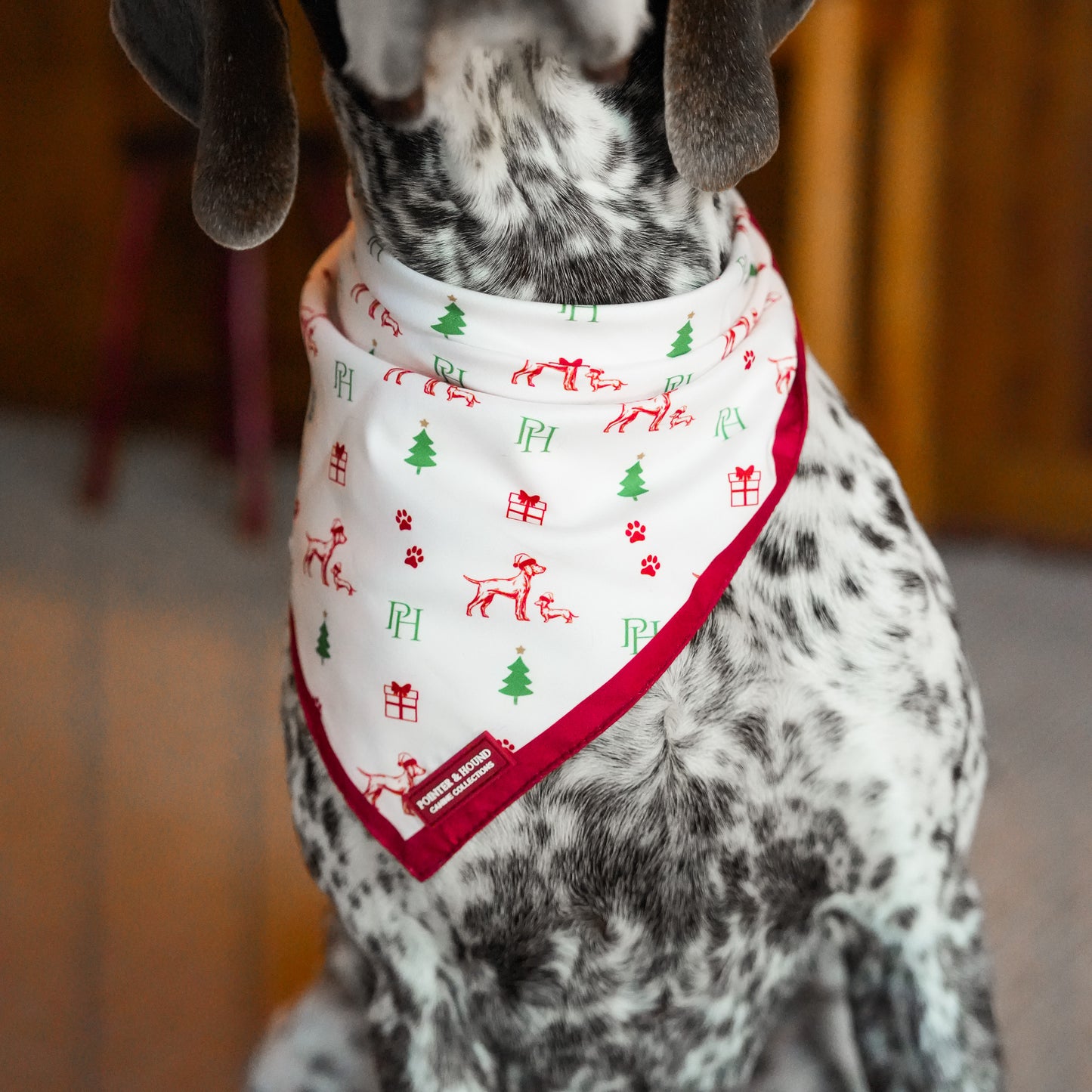 Christmas Bandana