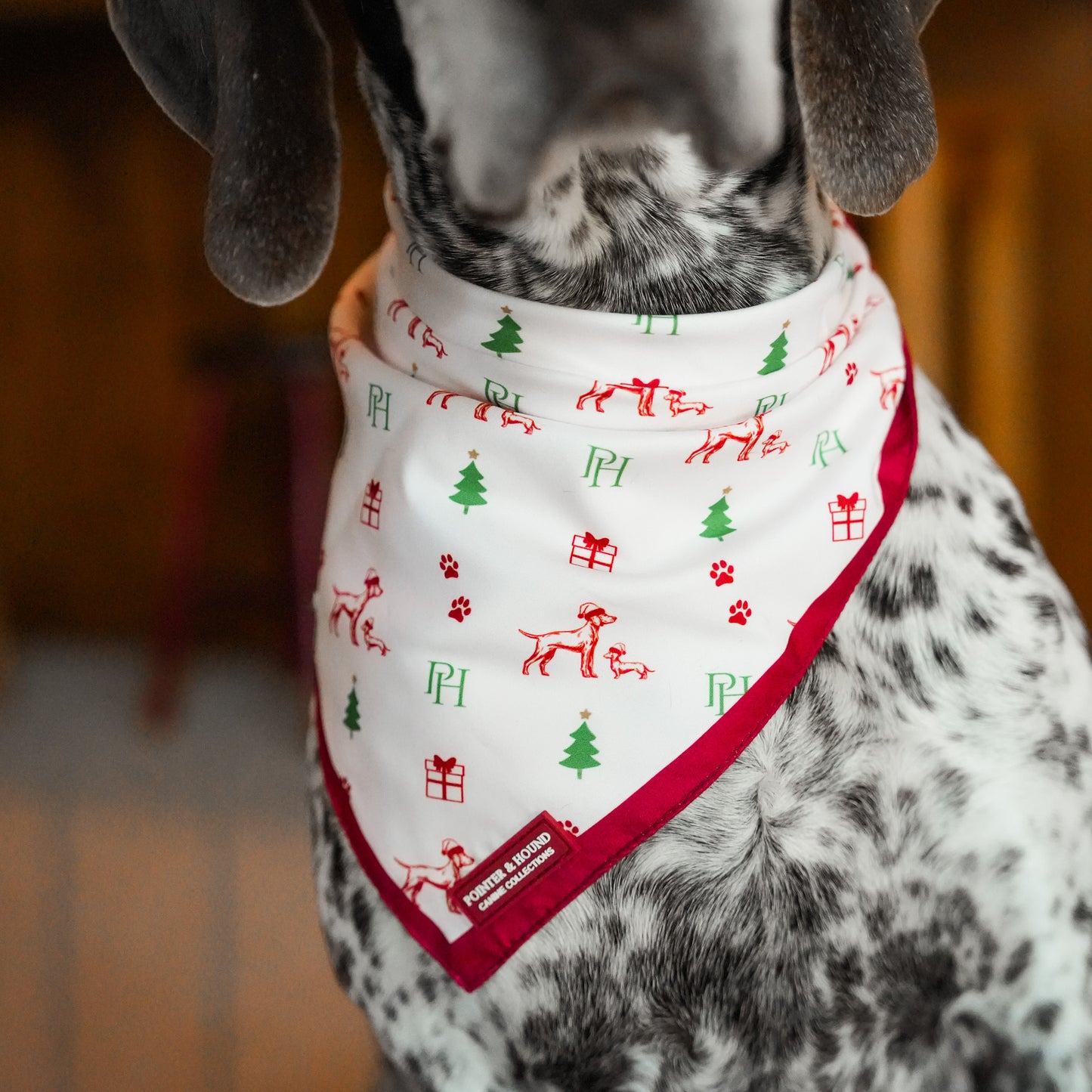 Christmas Bandana