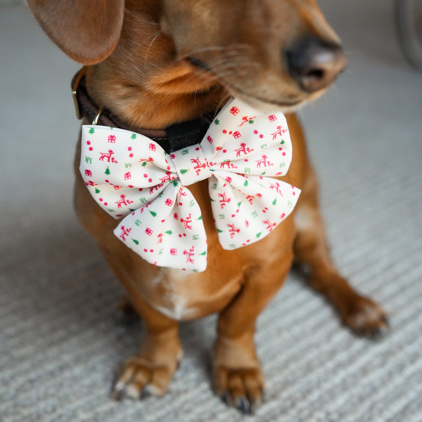 Christmas Bow Tie
