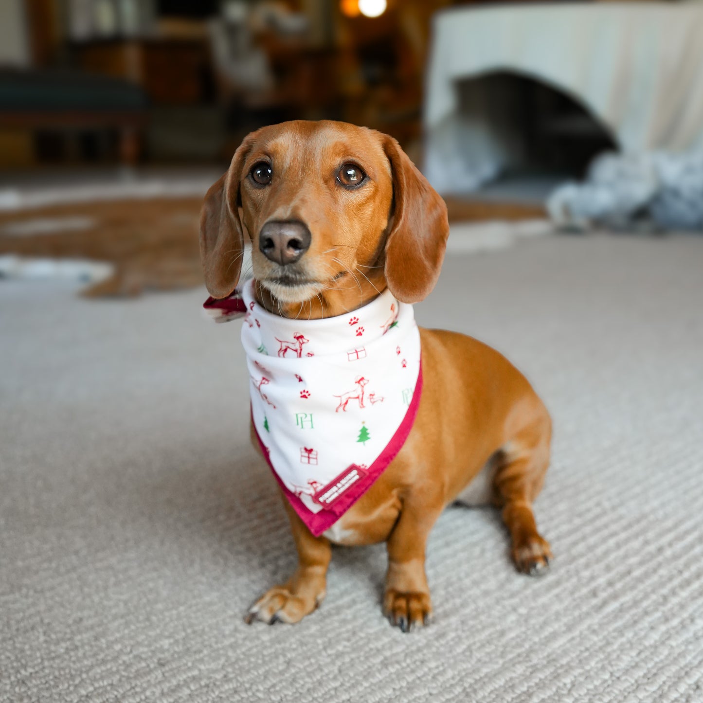 Christmas Bandana