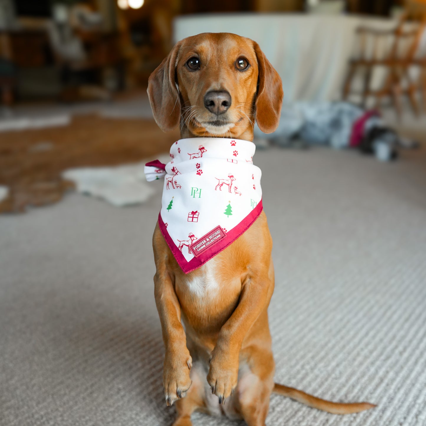 Christmas Bandana
