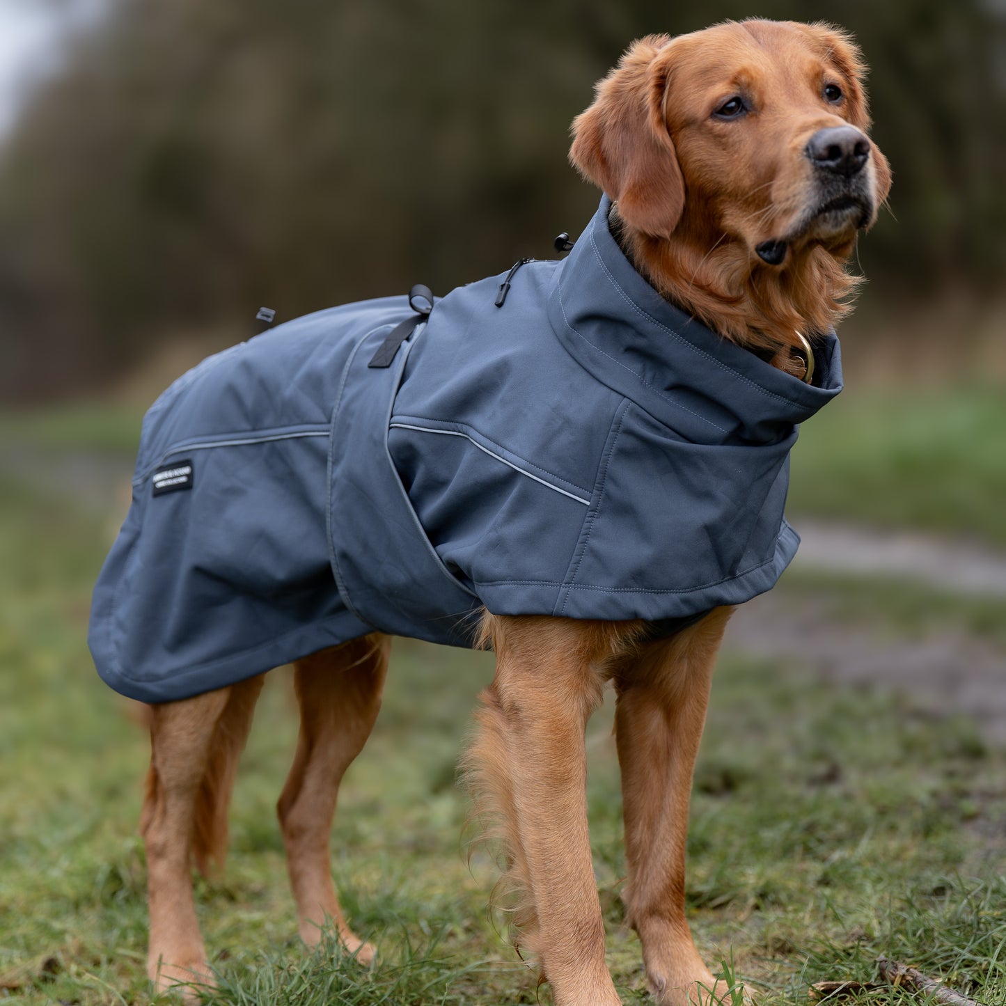 Waterproof Jacket - Slate Blue
