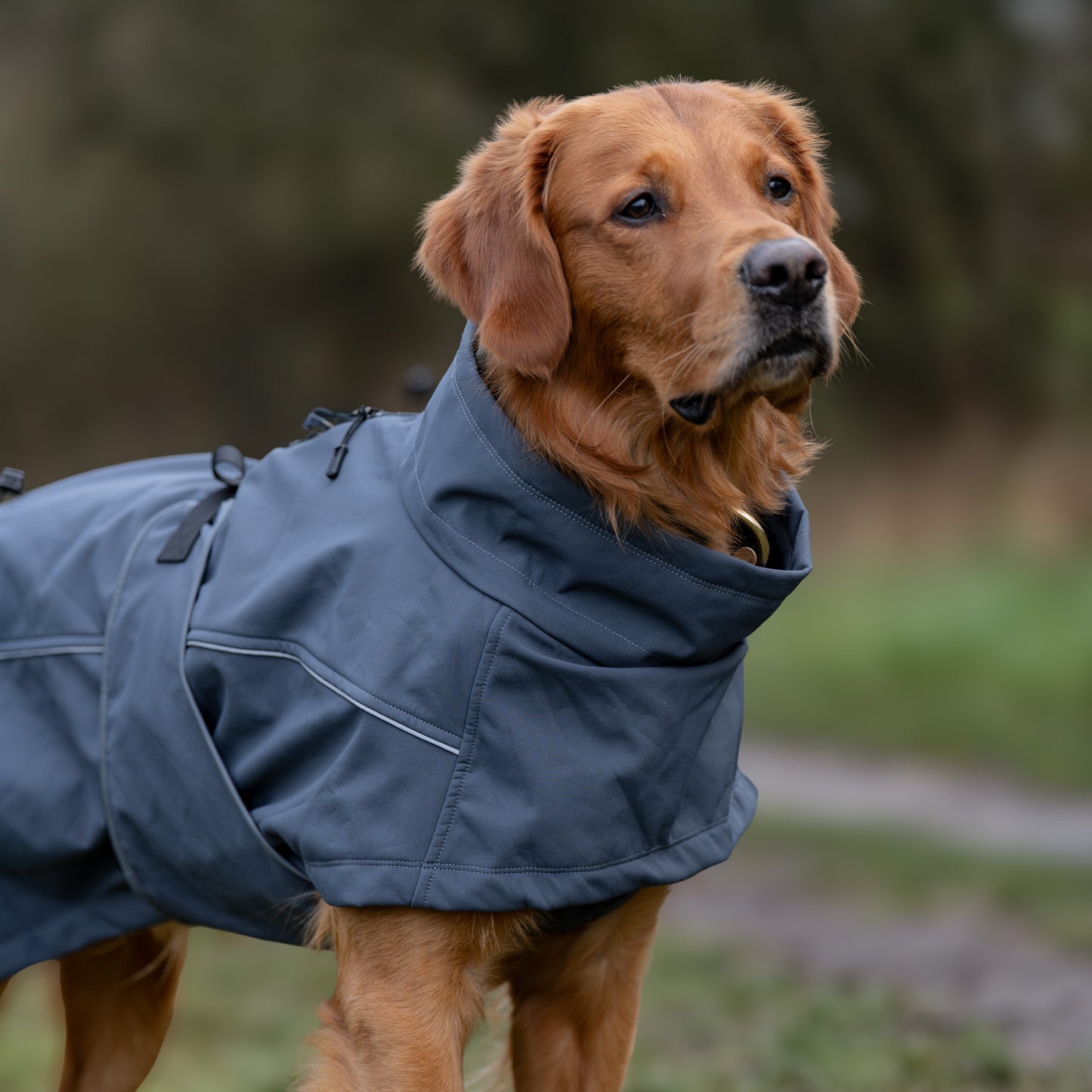 Waterproof Jacket - Slate Blue