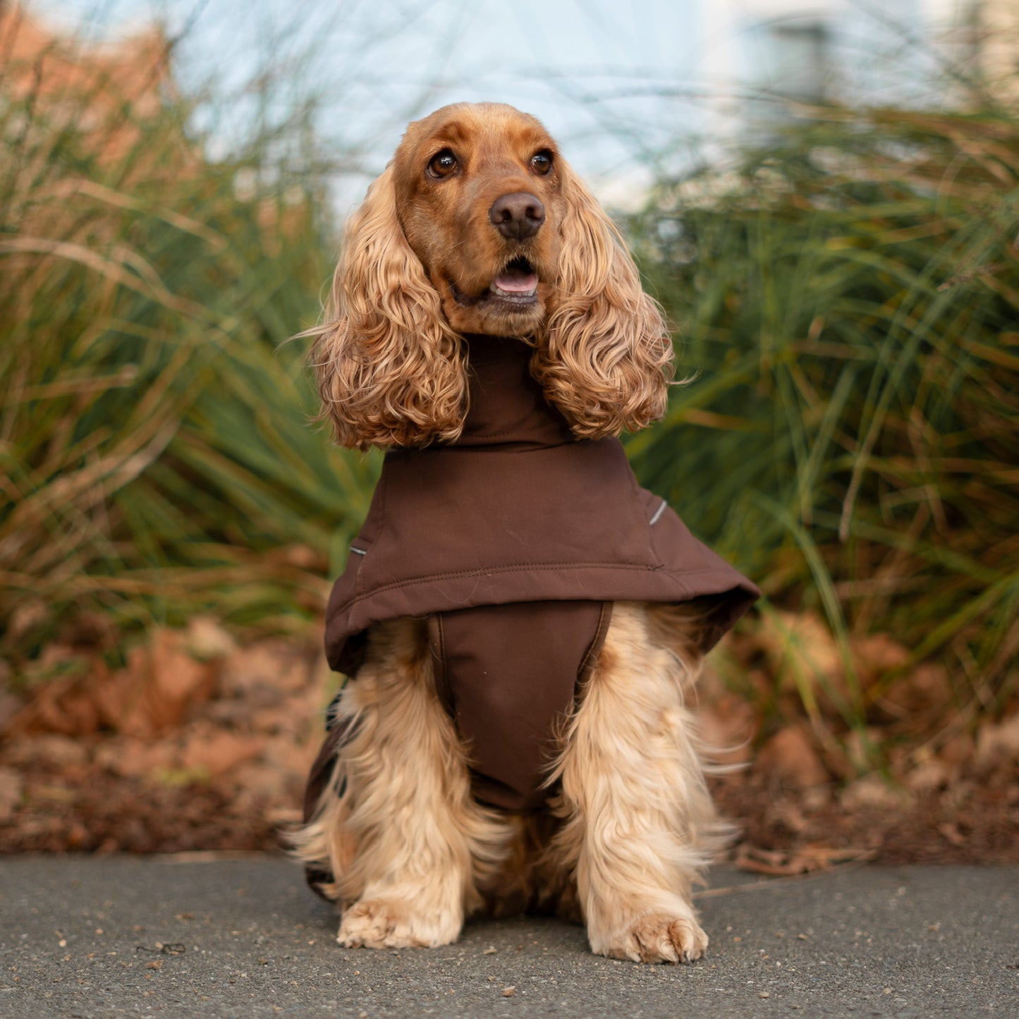 Waterproof Jacket - Maroon Brown