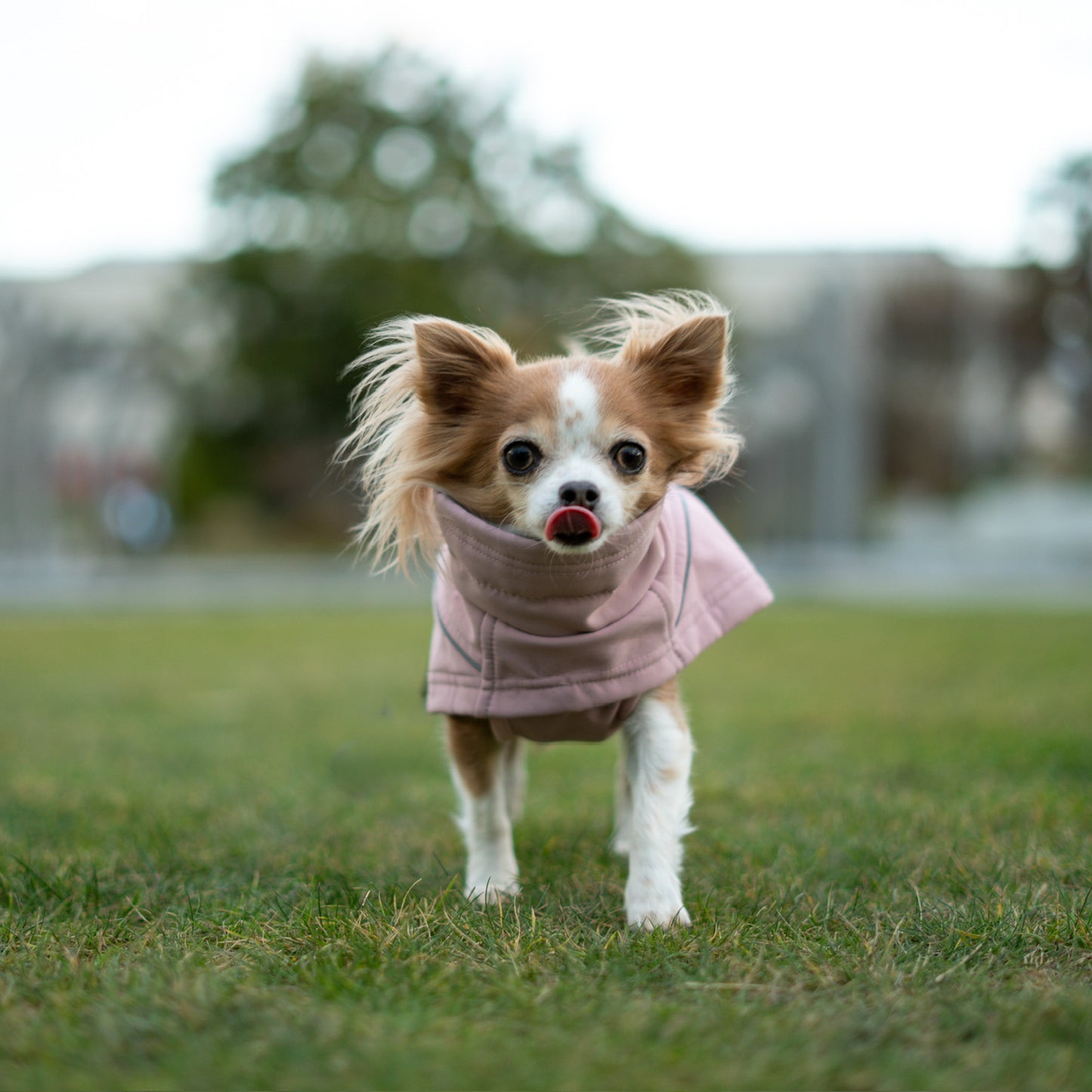 Waterproof Jacket - Pink