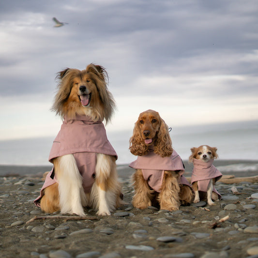 Waterproof Jacket - Pink