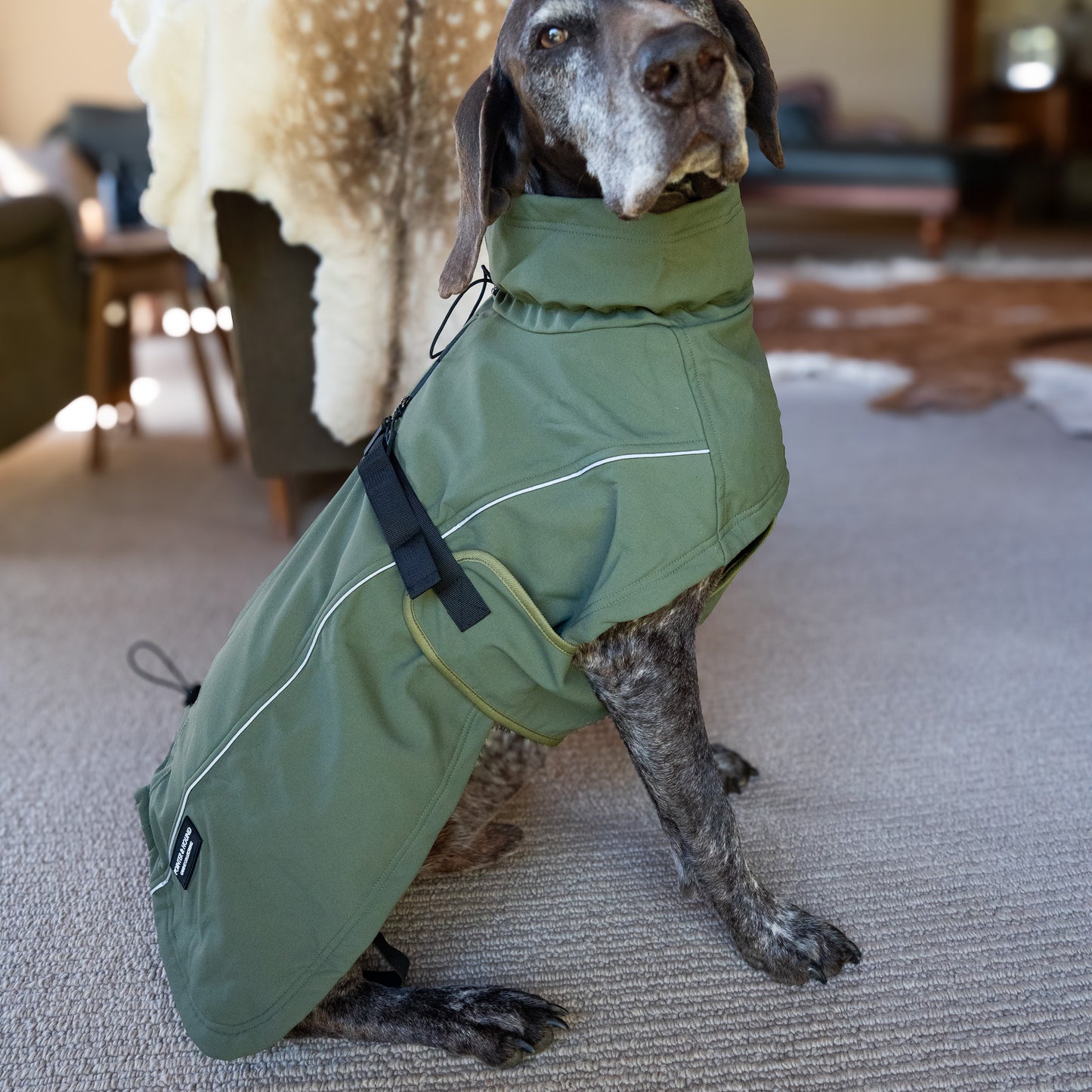 Waterproof Jacket - Green
