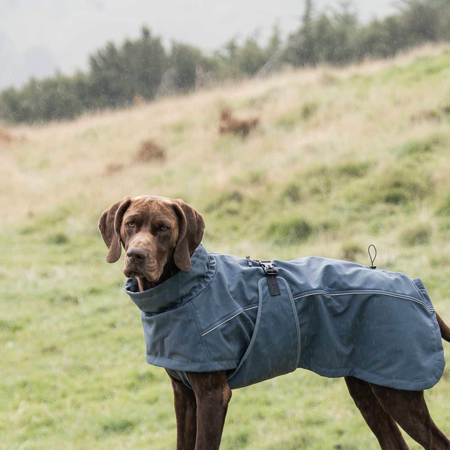 Waterproof Jacket - Slate Blue