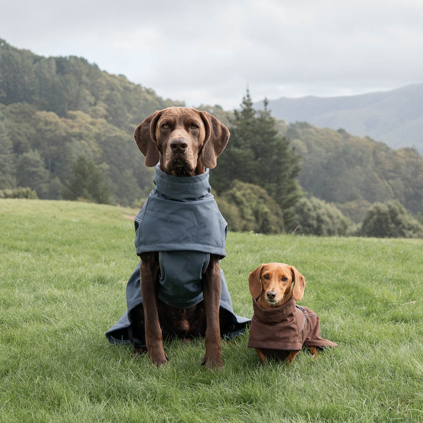 Waterproof Jacket - Slate Blue