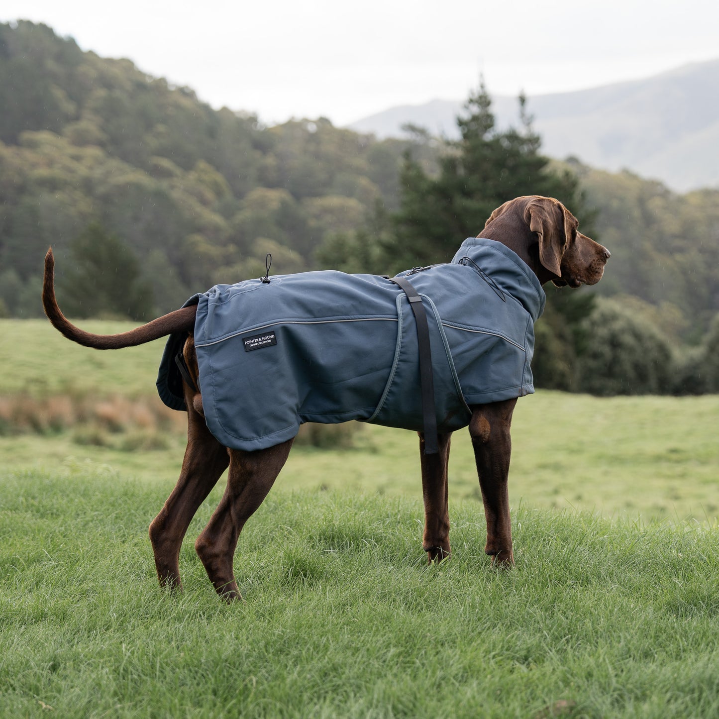 Waterproof Jacket - Slate Blue