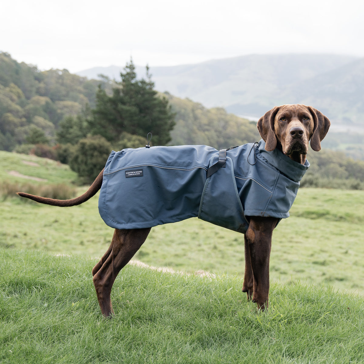 Waterproof Jacket - Slate Blue – Pointer & Hound