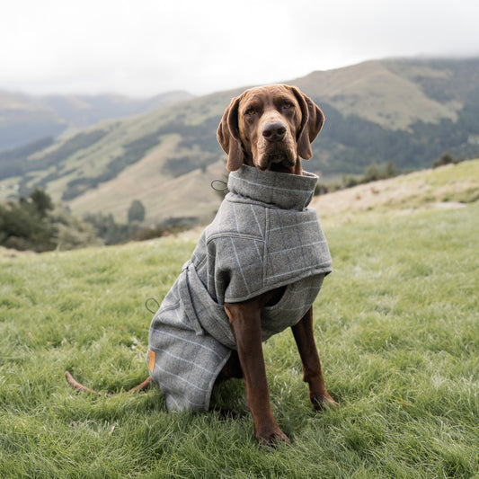 Highland Coat - Grey