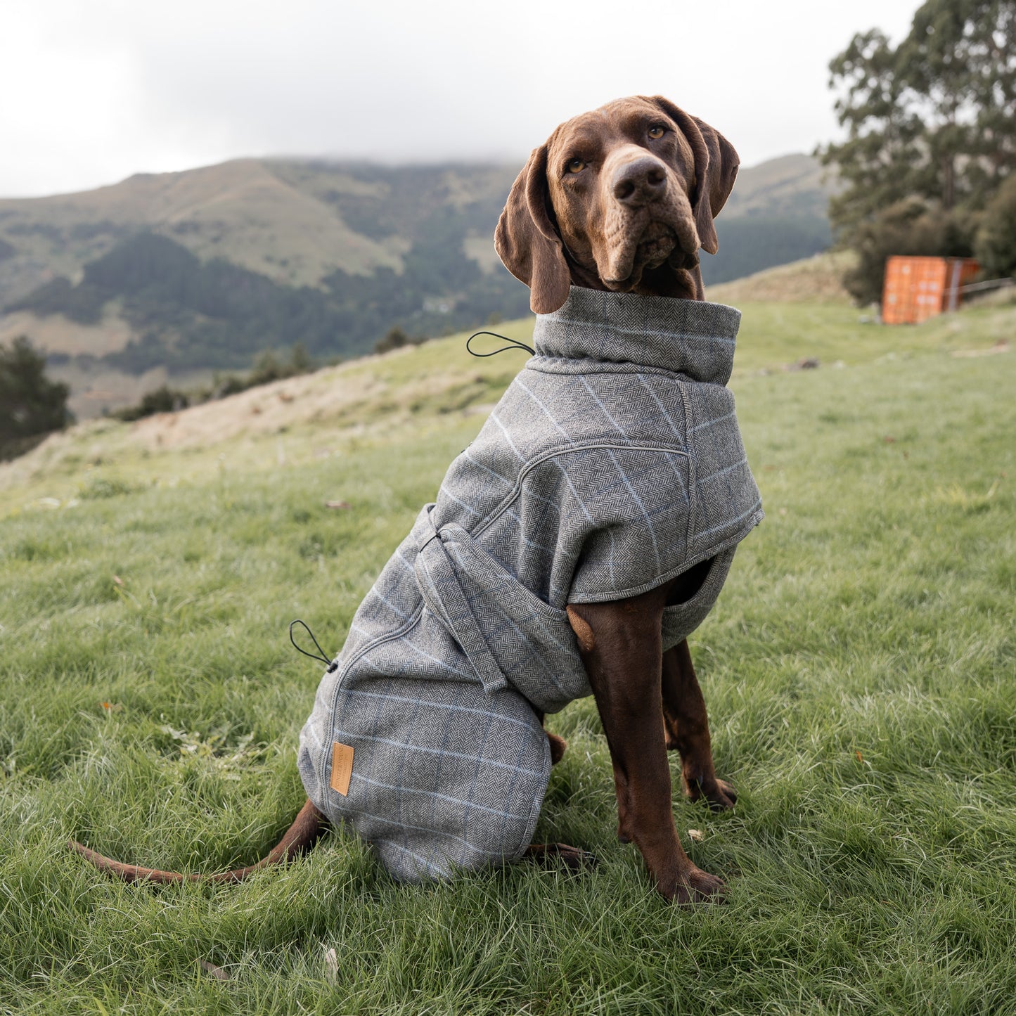 Highland Coat - Grey