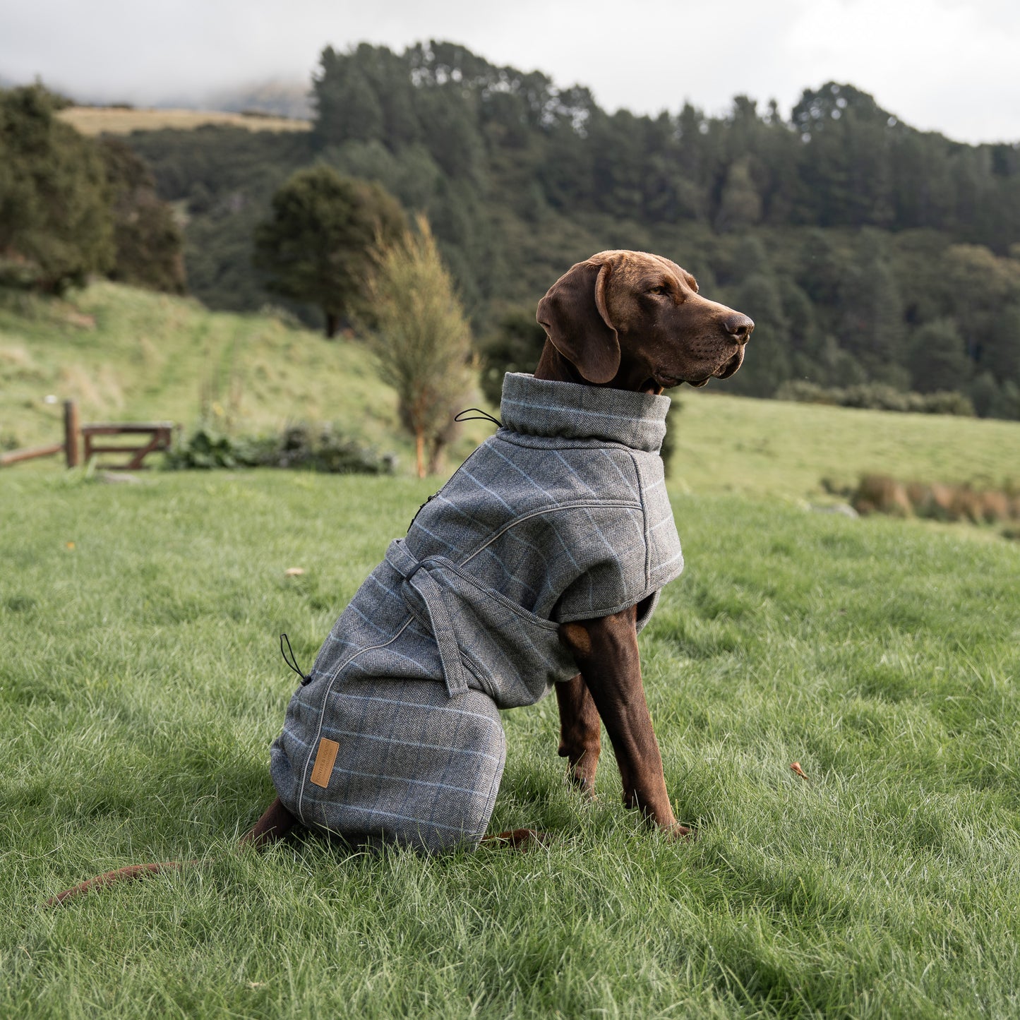 Highland Coat - Grey