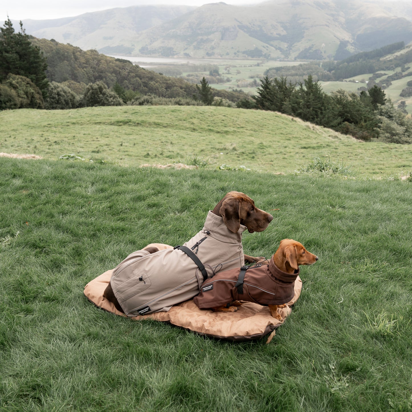 Oxford Travel Mat