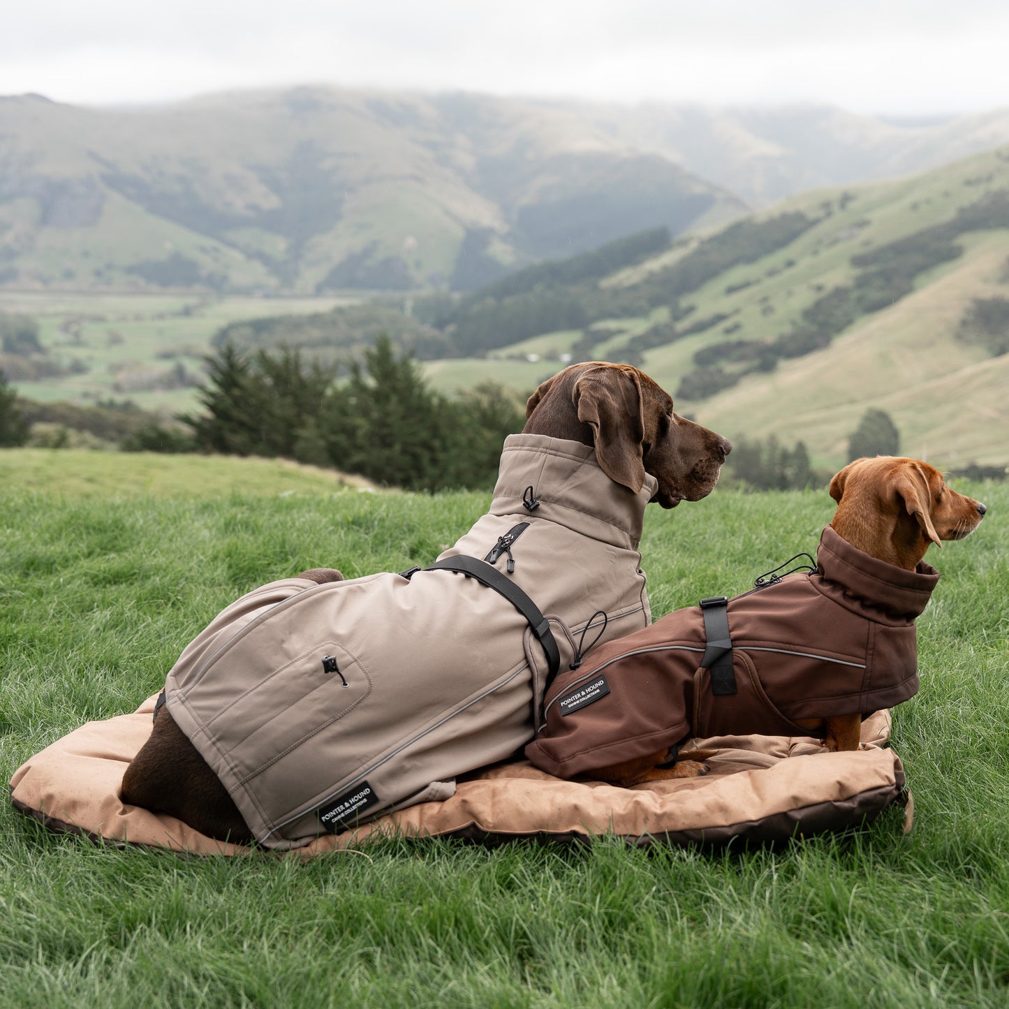 Waterproof Jacket - Mushroom